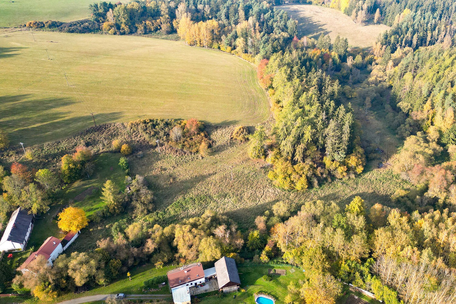 Prodej pozemek - Planá, okres Tachov - 5