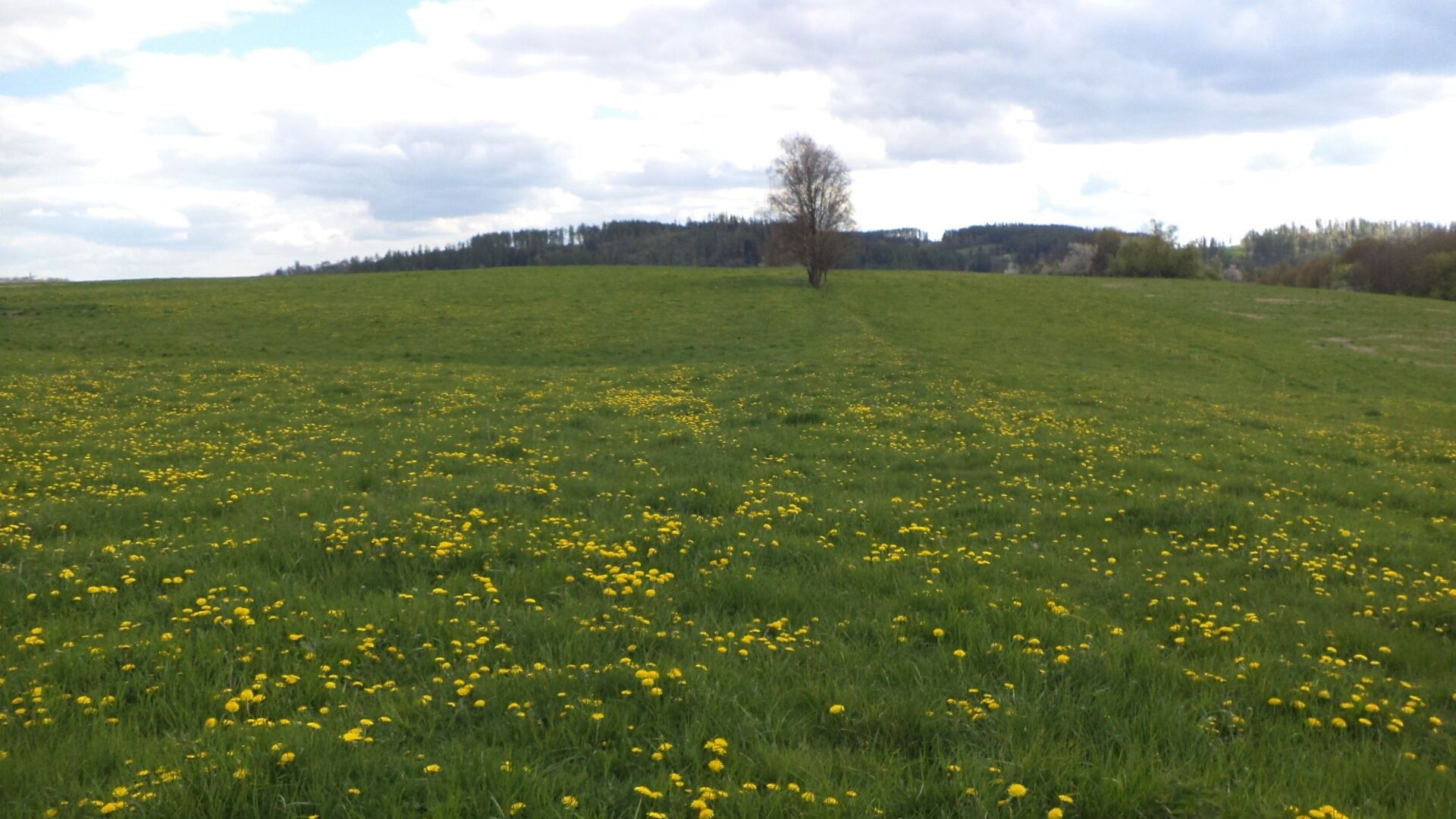 Prodej pozemek - Nová Véska, Staré Město, 10 m²