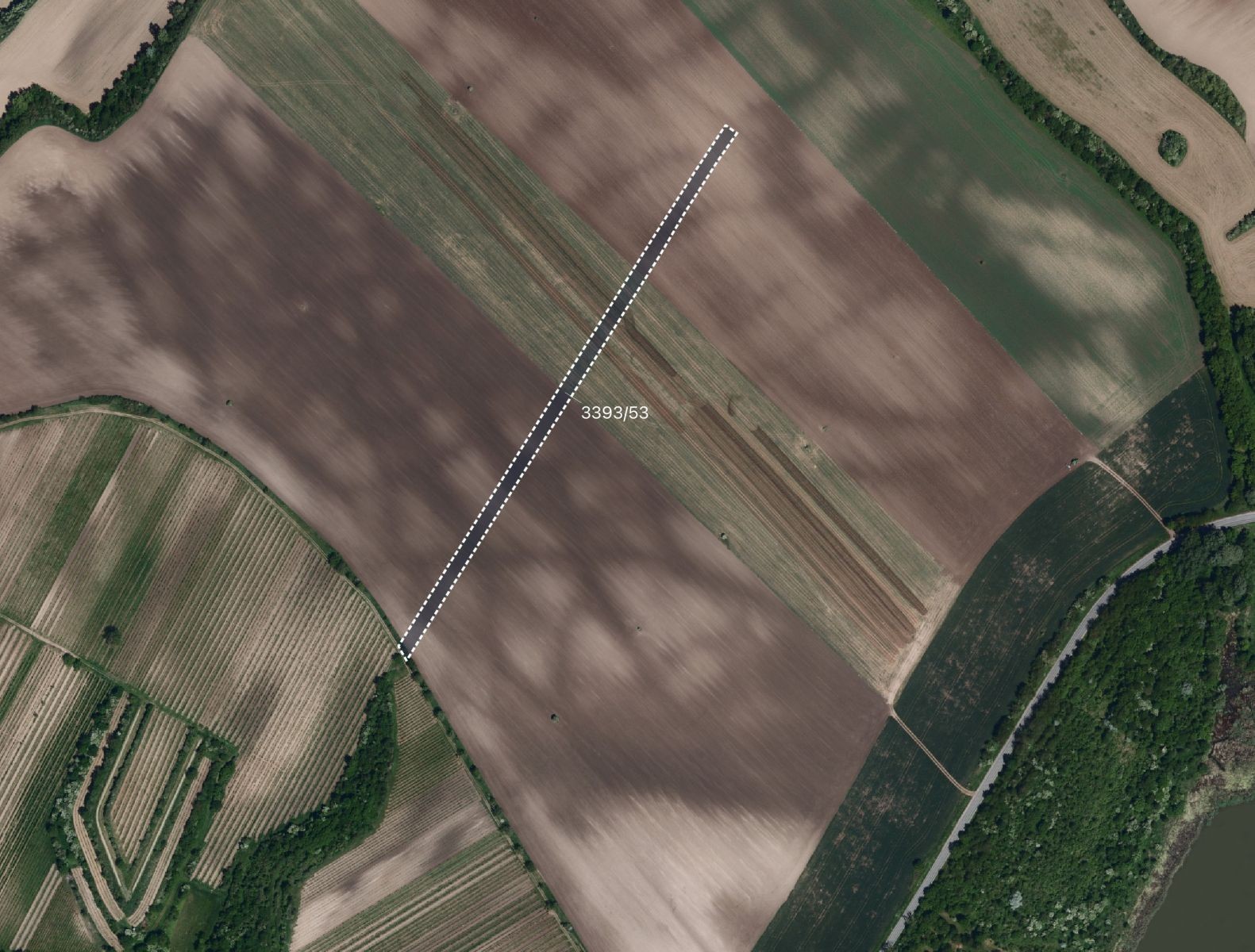 Prodej zemědělský pozemek - Čejkovice - 1