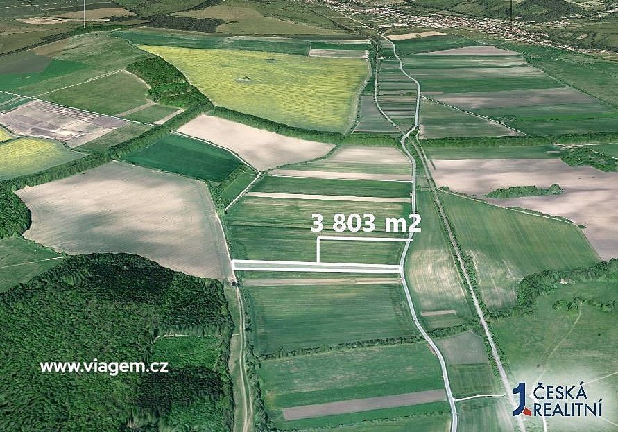 Zemědělské pozemky, Javorník, okres Hodonín, Jihomoravský kraj - 2