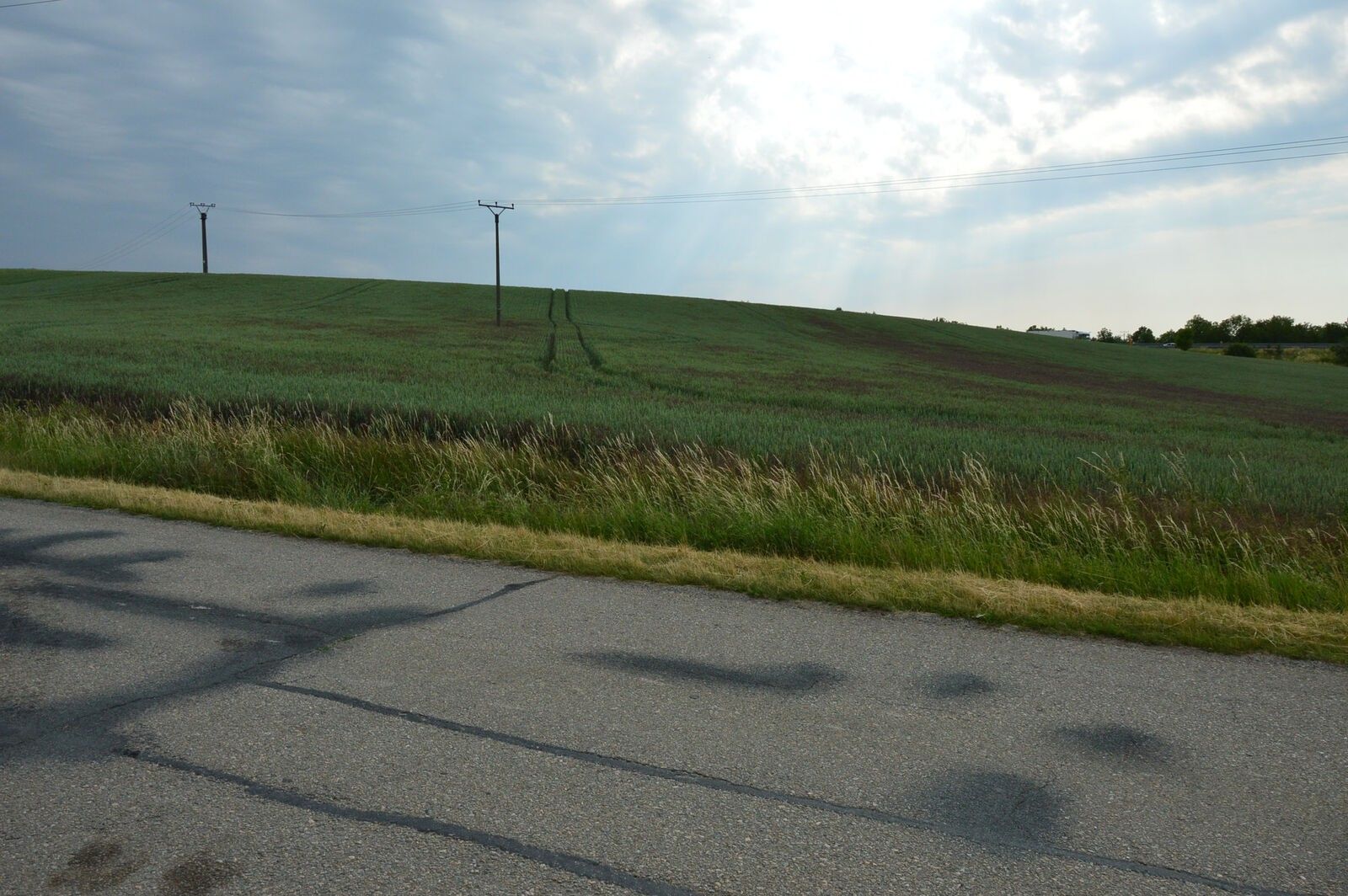 Zemědělský pozemek, 1 002 m²