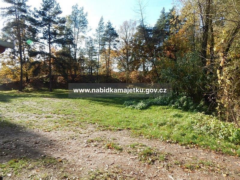 Ostatní, Třebechovice pod Orebem, okres Hradec Králové - 1