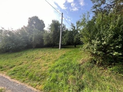 Prodej pozemek pro bydlení - Libštát, 512 03 - 2