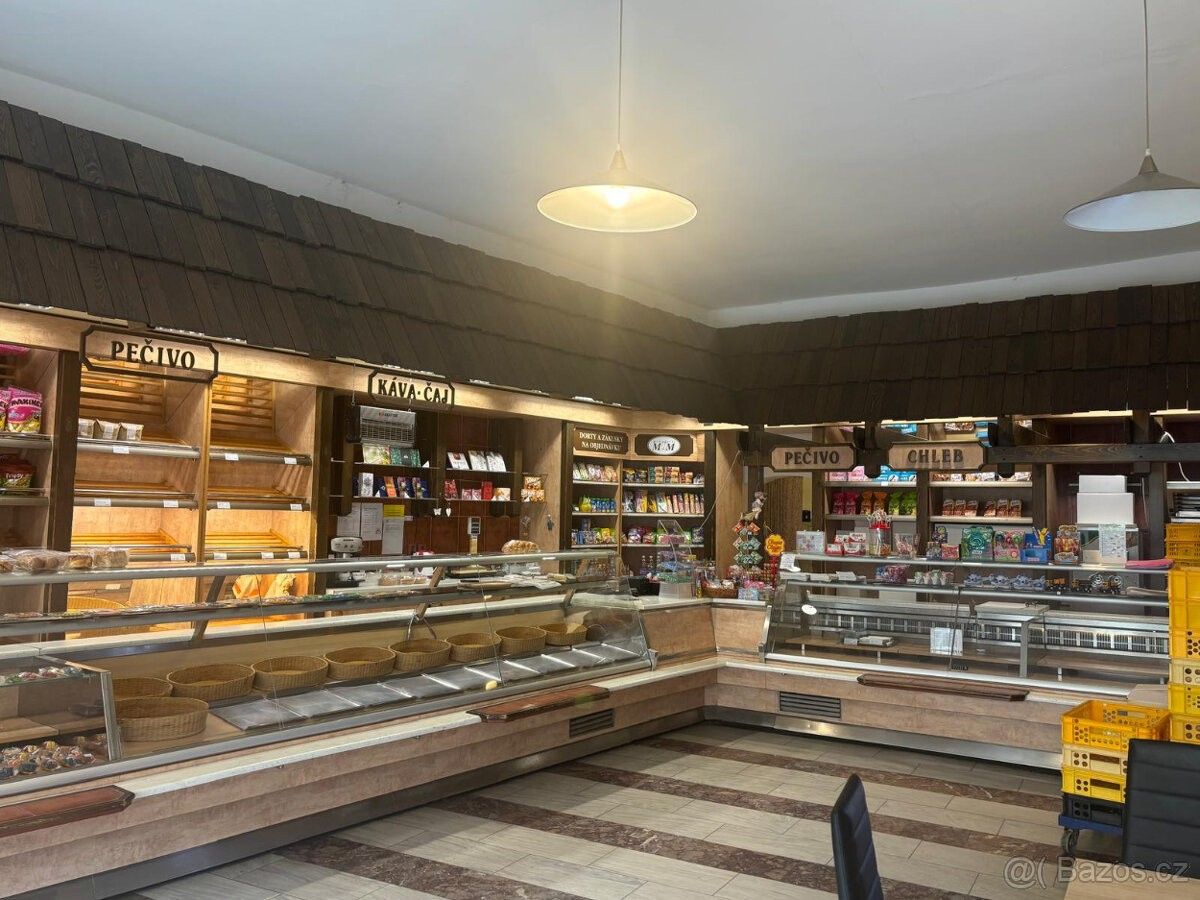 Pronájem obchodní prostory - Prostějov, 796 01