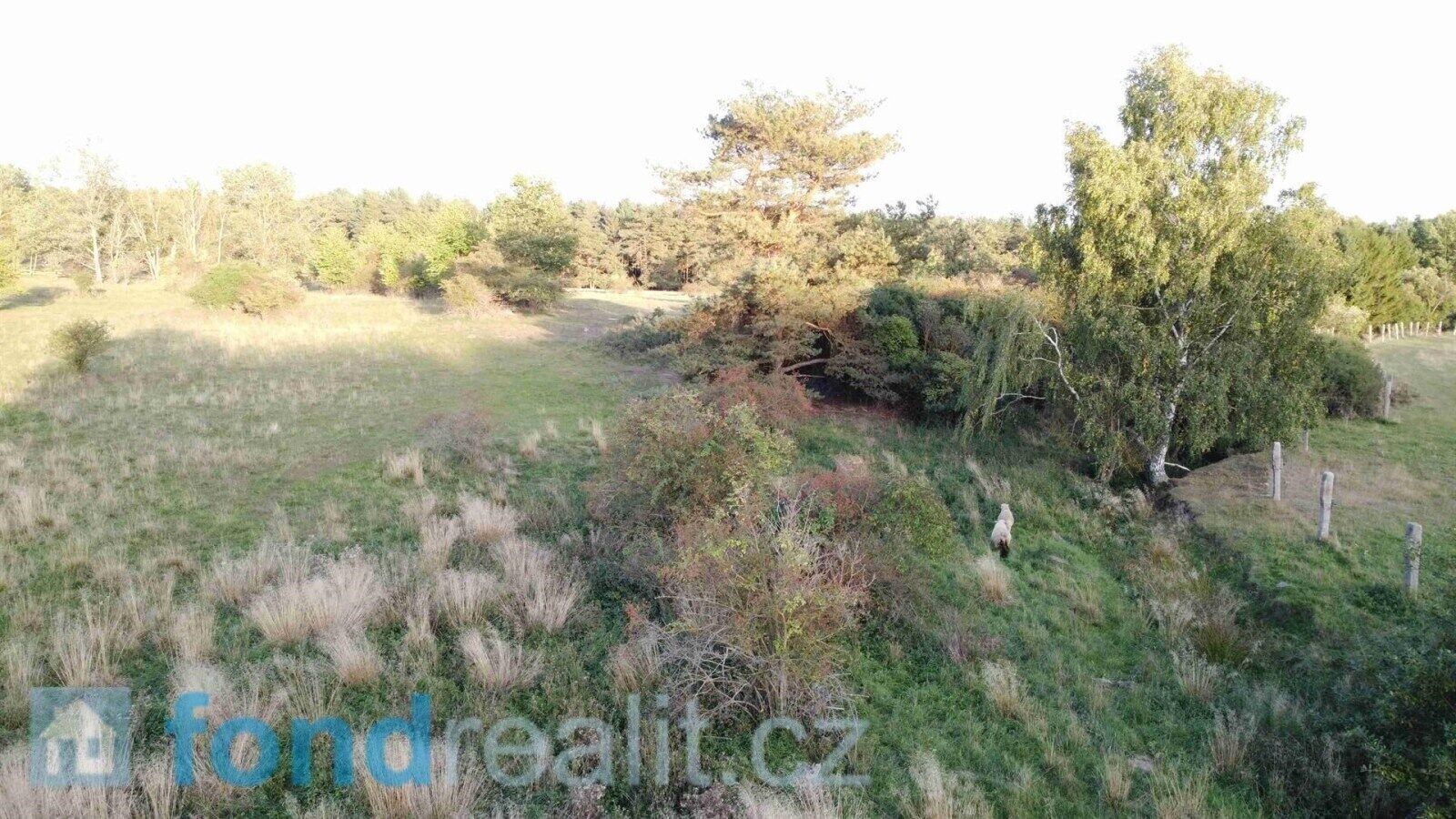 Prodej zemědělský pozemek - Žďár, 7 261 m² - 5