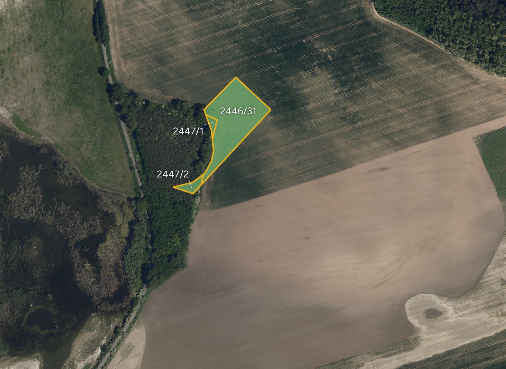 Prodej zemědělský pozemek - Svatobořice-Mistřín Svatobořice - 2