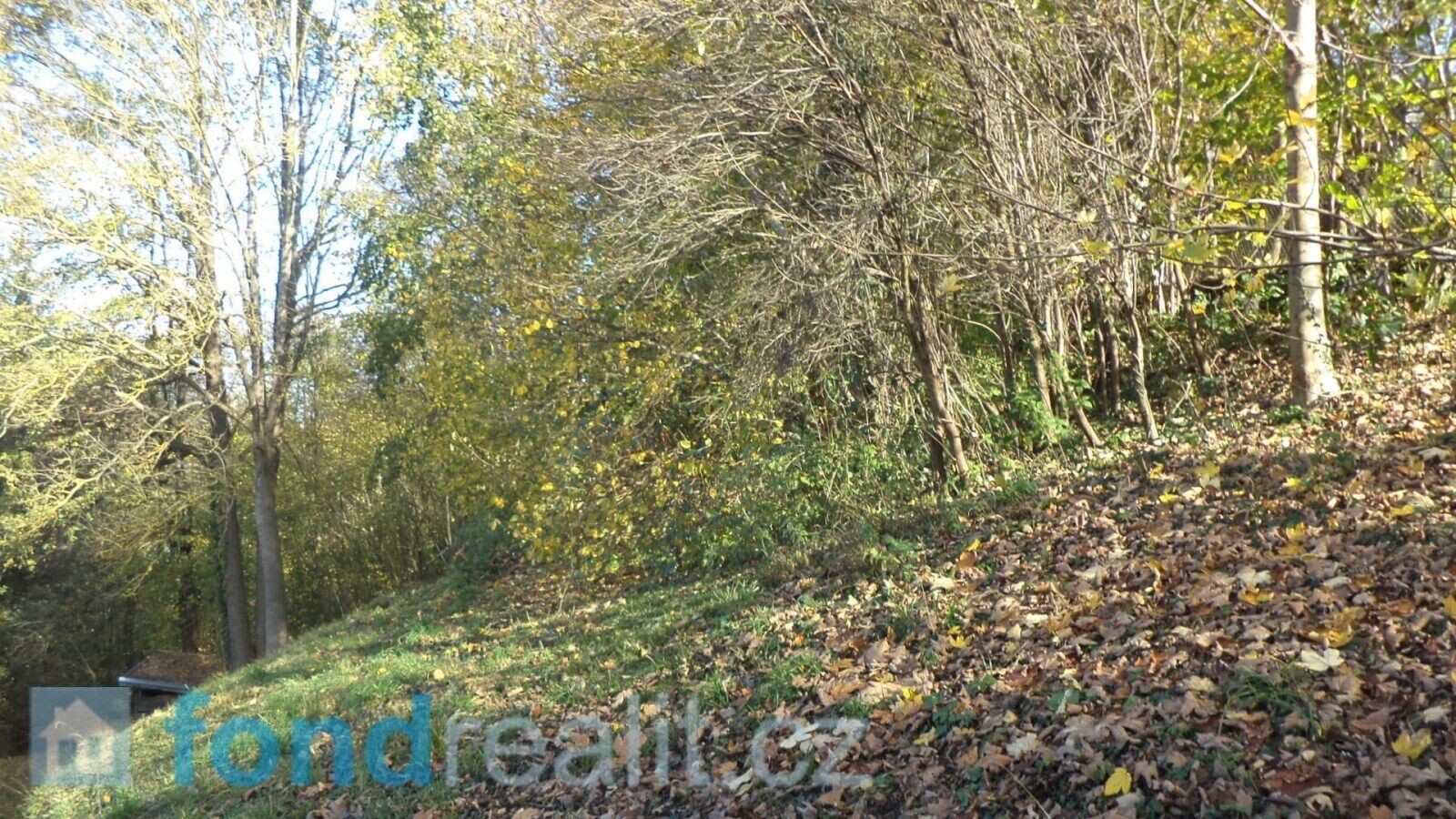 Pozemek pro bydlení · 813 m² · Nové Hrady - 3