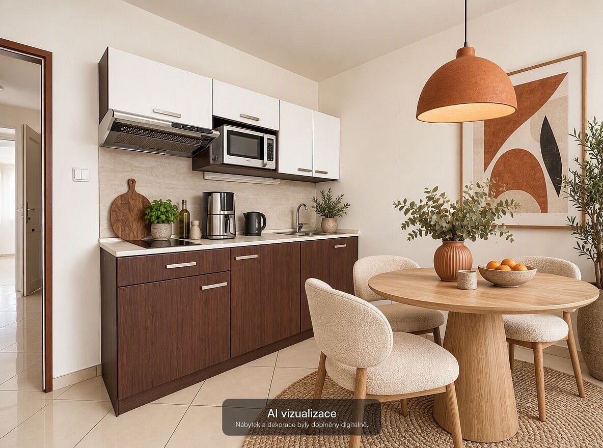 Byt 1+kk · 29 m² · Svitavská, Brno - Husovice - 4
