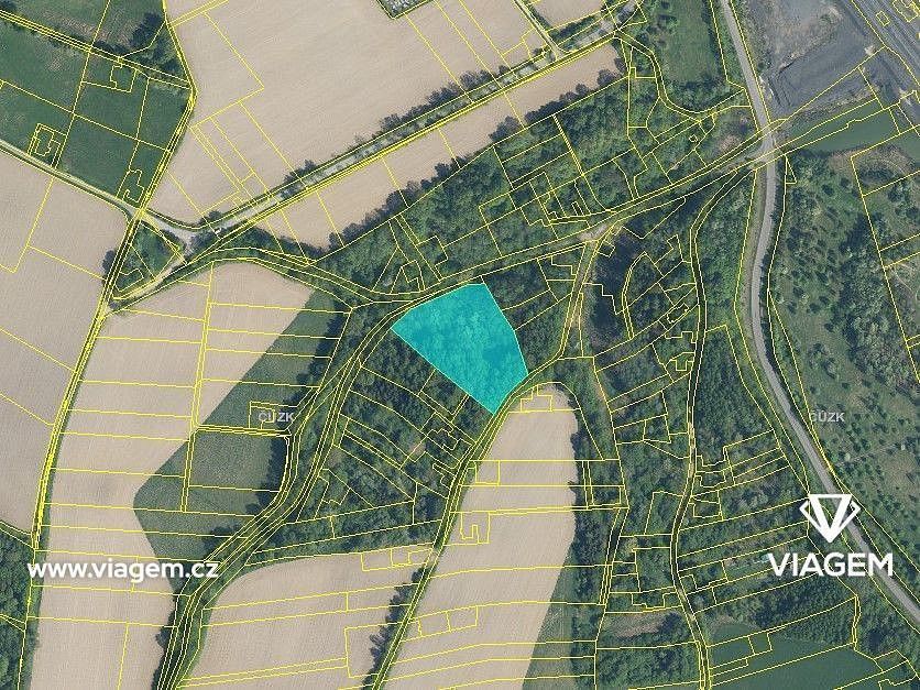 Les · Karviná, Moravskoslezský kraj - 2