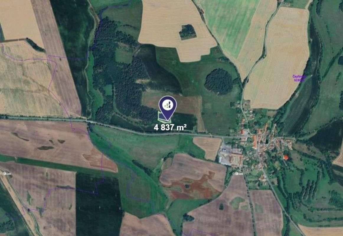 Lesy, Čepřovice, 4 837 m² - 2