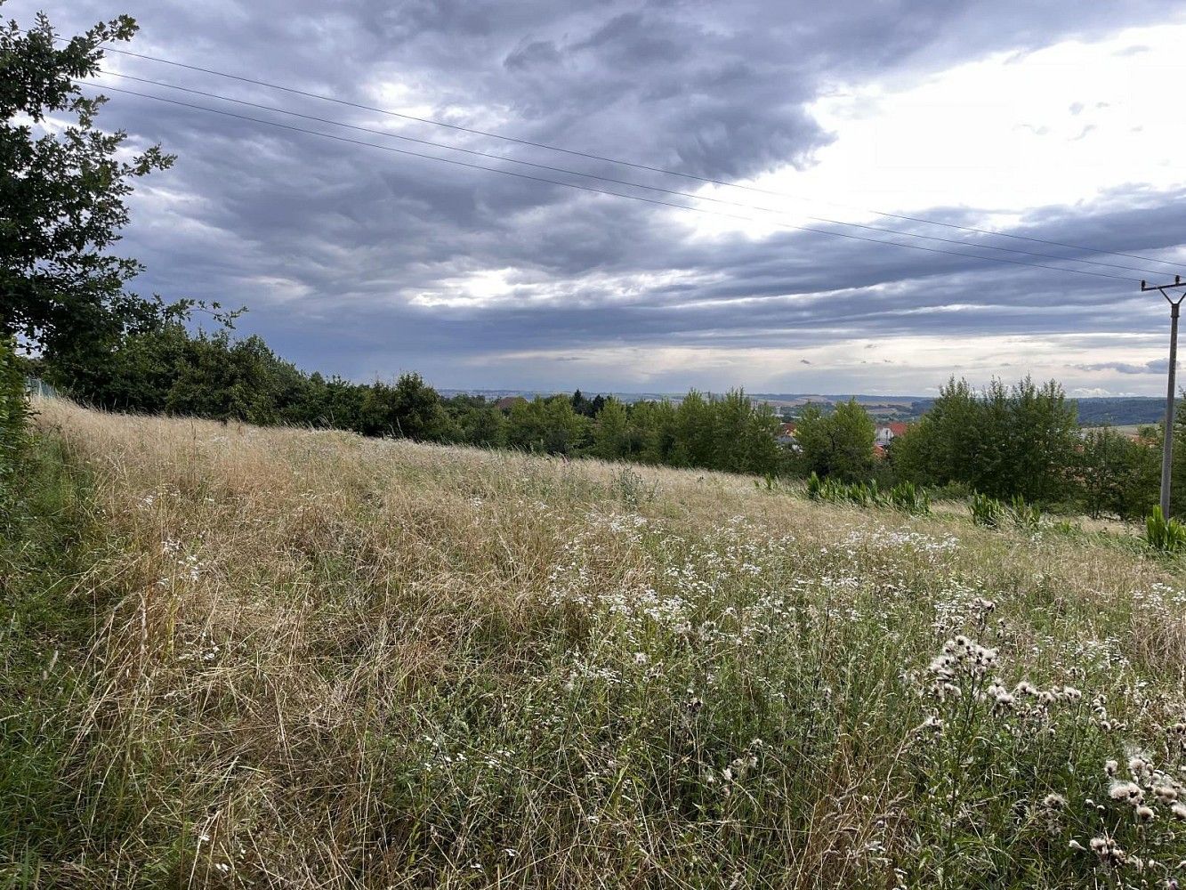 Zahrada · Oslavany - Padochov, okres Brno-venkov, Jihomoravský kraj - 4