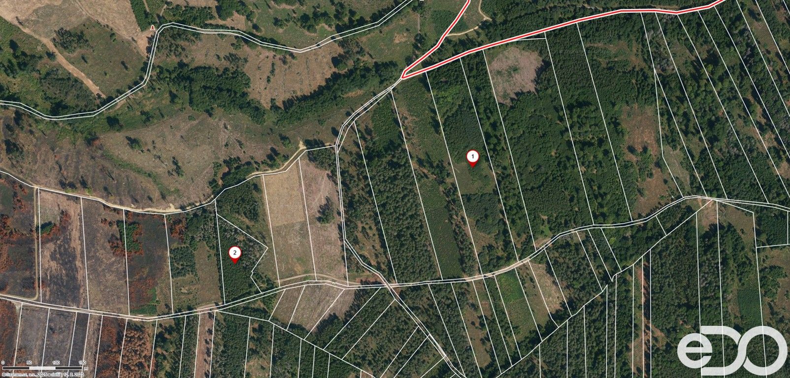 Prodej les - Jetětice, 79 500 m² - 5