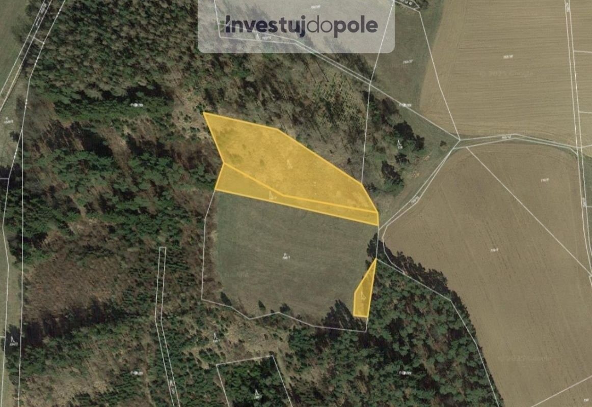 Lesy, Čepřovice, 5 649 m²