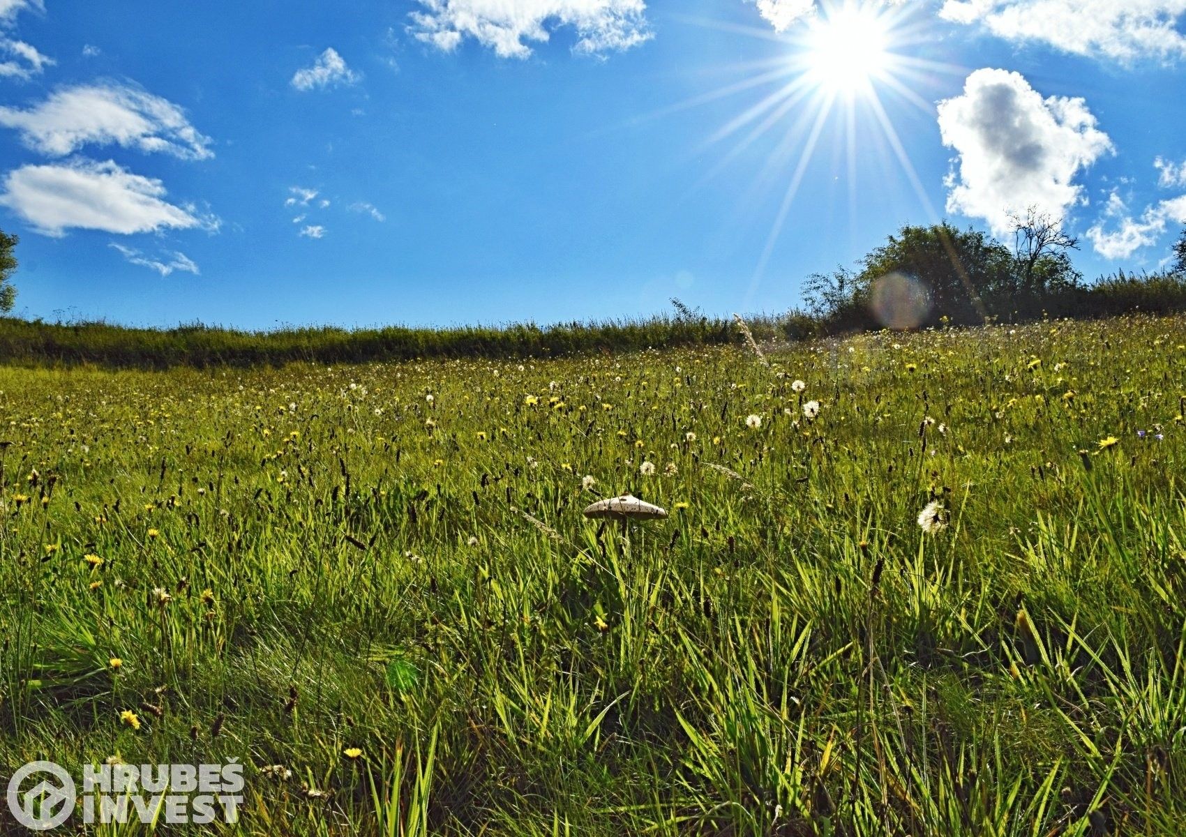 Prodej pozemek pro bydlení - Hnátnice