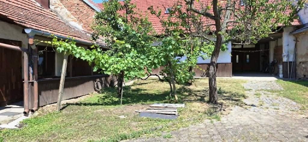 Rodinný dům · 350 m² · Ivaň, okres Brno-venkov - 3
