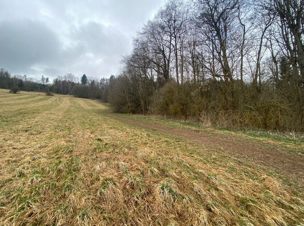 Zemědělský pozemek · 7 826 m² · Semily - 1