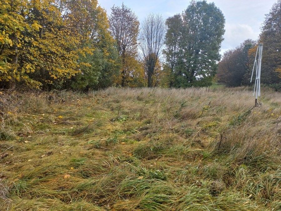 Stavební pozemek, Bochov – pohled 3