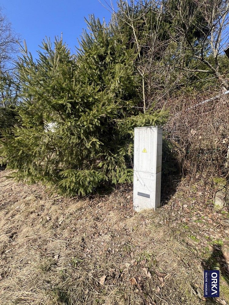 Zahrada · Kosov, okres Šumperk, Olomoucký kraj - 4
