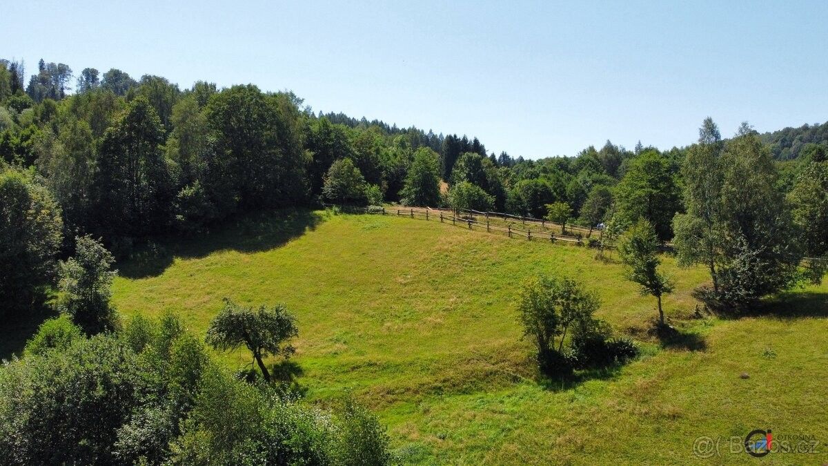 Prodej pozemek pro bydlení - Olešnice v Orlických horách, 517 83