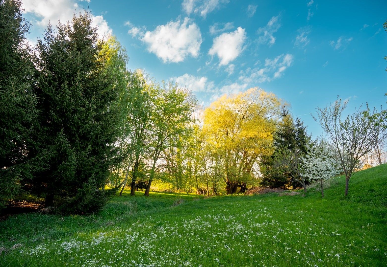 Prodej rodinný dům - Balkova Lhota, 107 m²