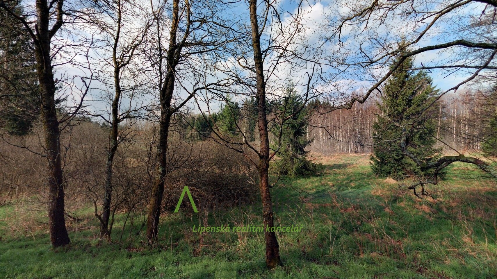 Louka · Přední Výtoň - 3