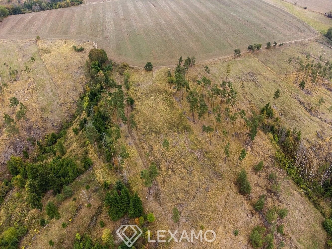 Lesy, Vladislav - Střížov, okres Třebíč, Kraj Vysočina - 2