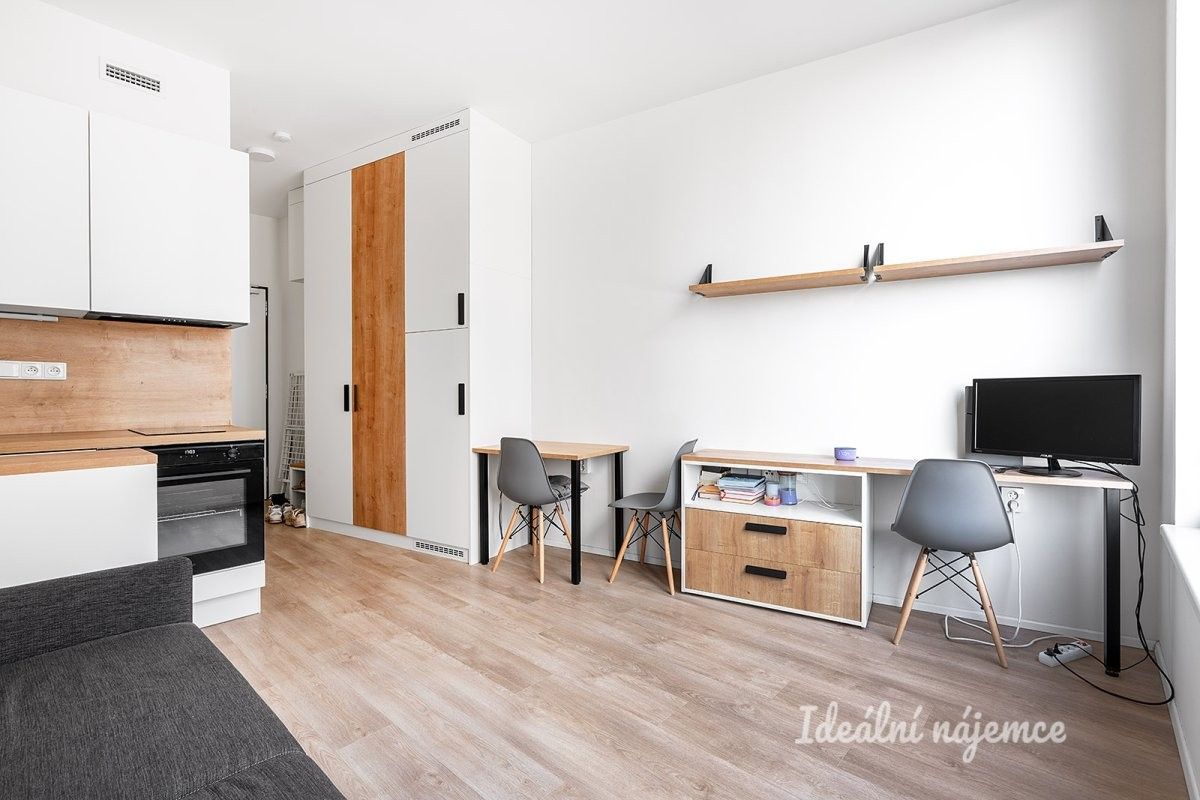 Pronájem byt 1+kk - Plzeňská, Praha, 21 m² - 5