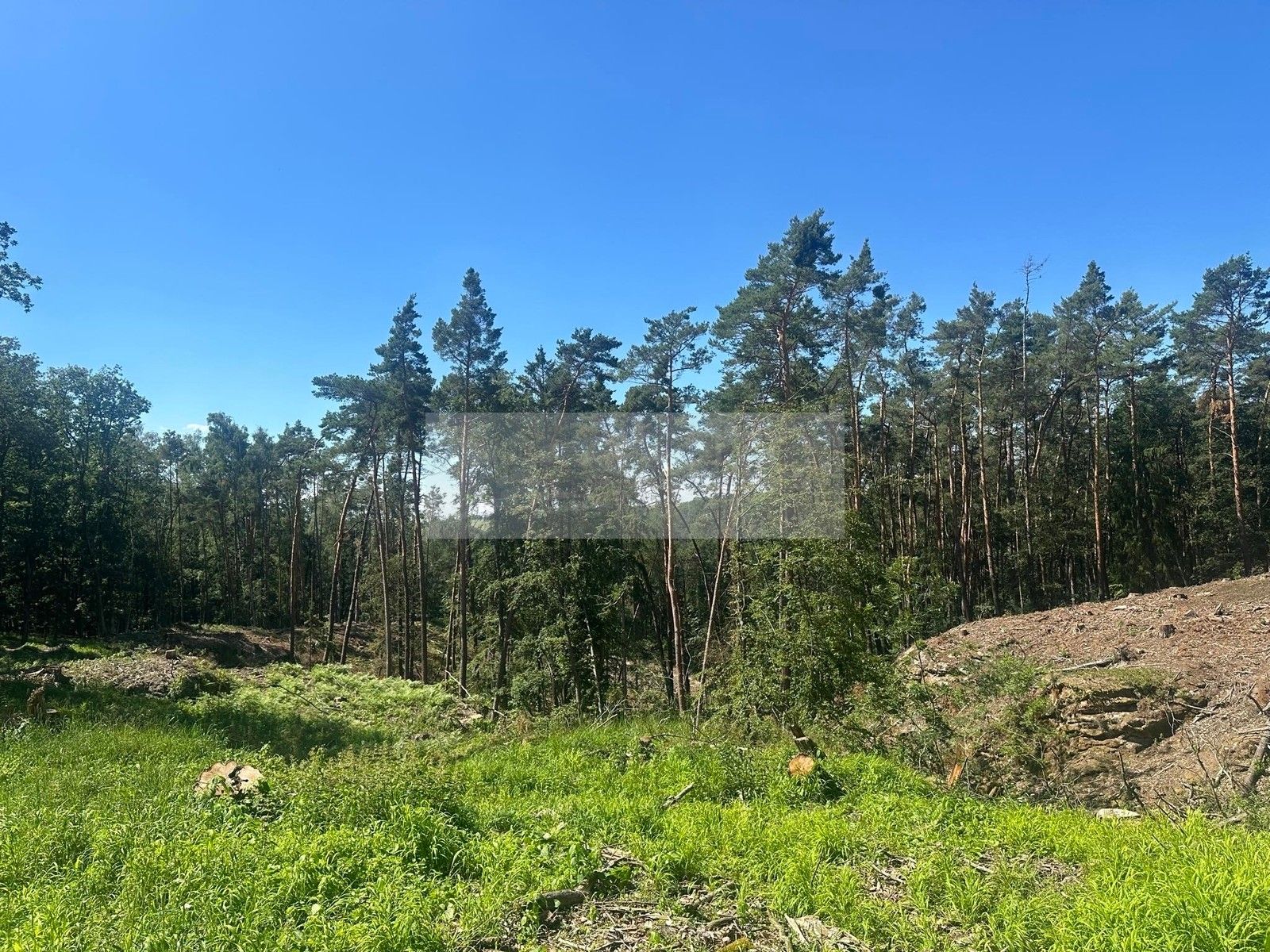 Lesy, Nebužely, 27 m²