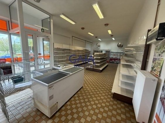 Prodej obchodní prostory - Slavonice, 378 81