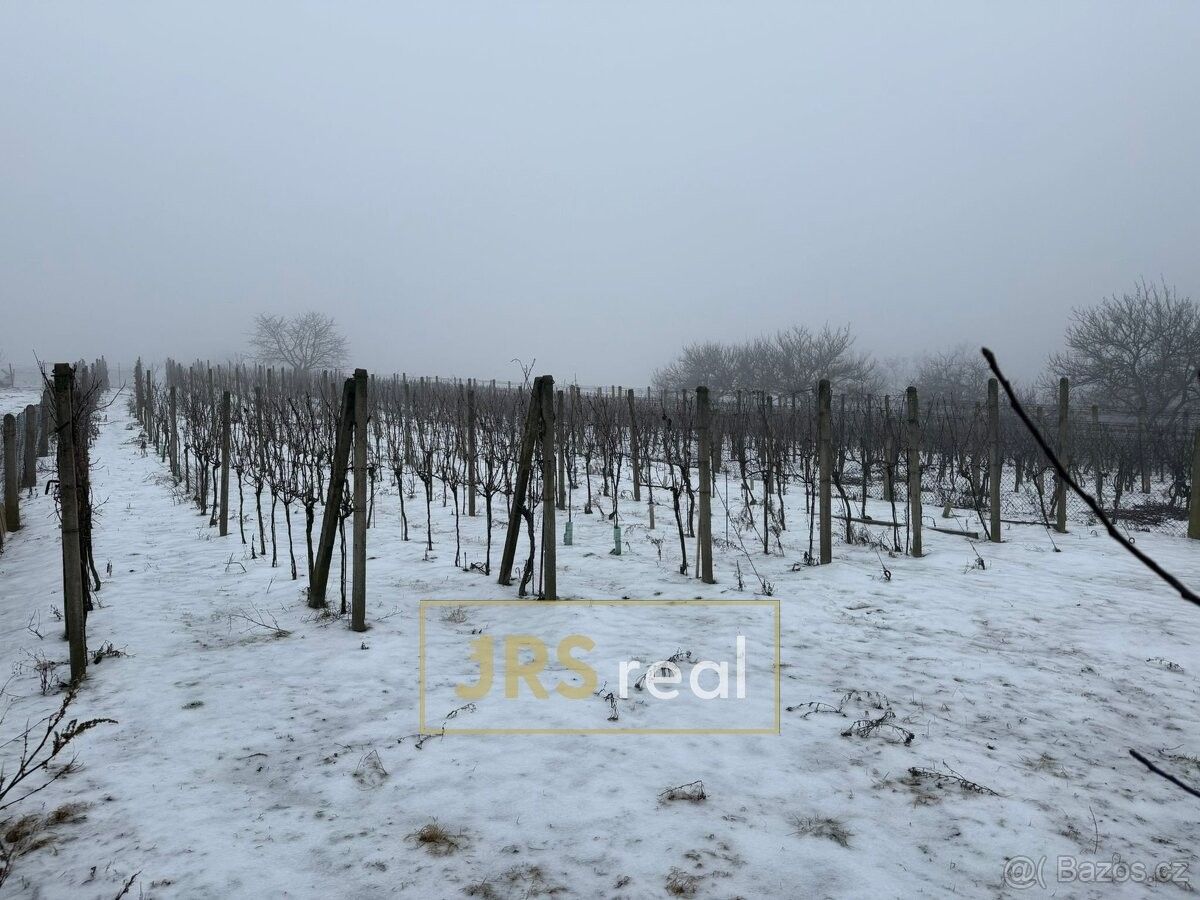 Prodej pozemek pro bydlení - Valtice, 691 42