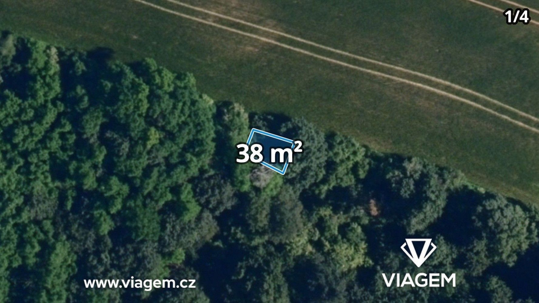 Les · Lukovany, okres Brno-venkov, Jihomoravský kraj - 3
