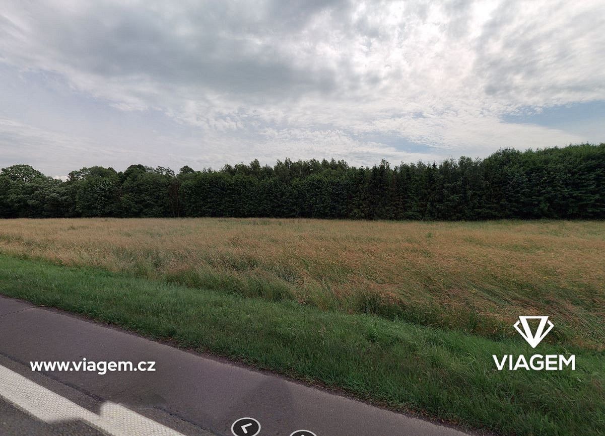 Zemědělský pozemek · Brantice, okres Bruntál, Moravskoslezský kraj - 3