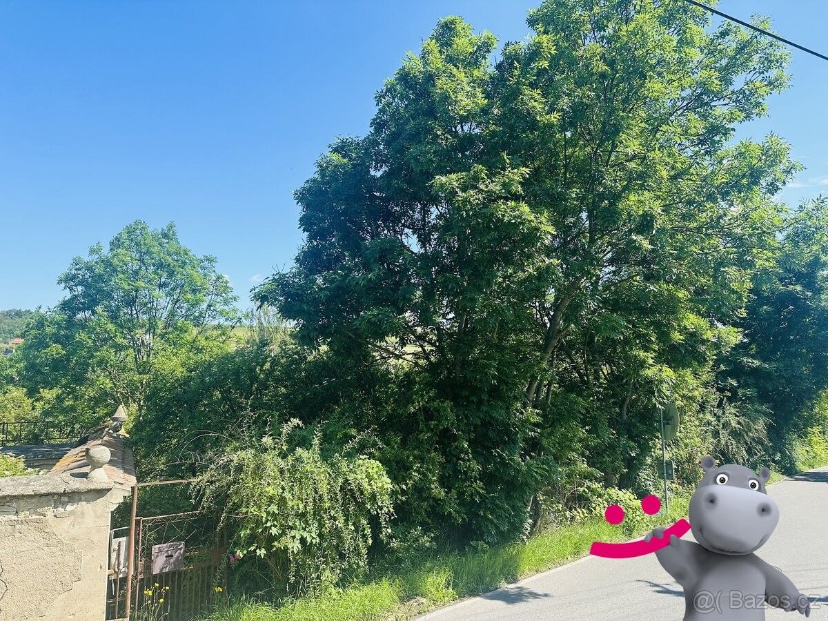 Prodej pozemek pro bydlení - Tuchoměřice, 252 67