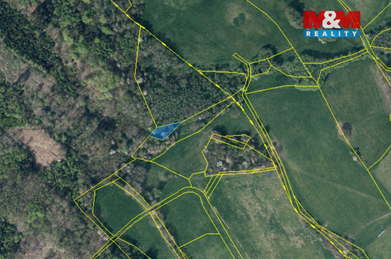 Prodej les - Dolní Habartice