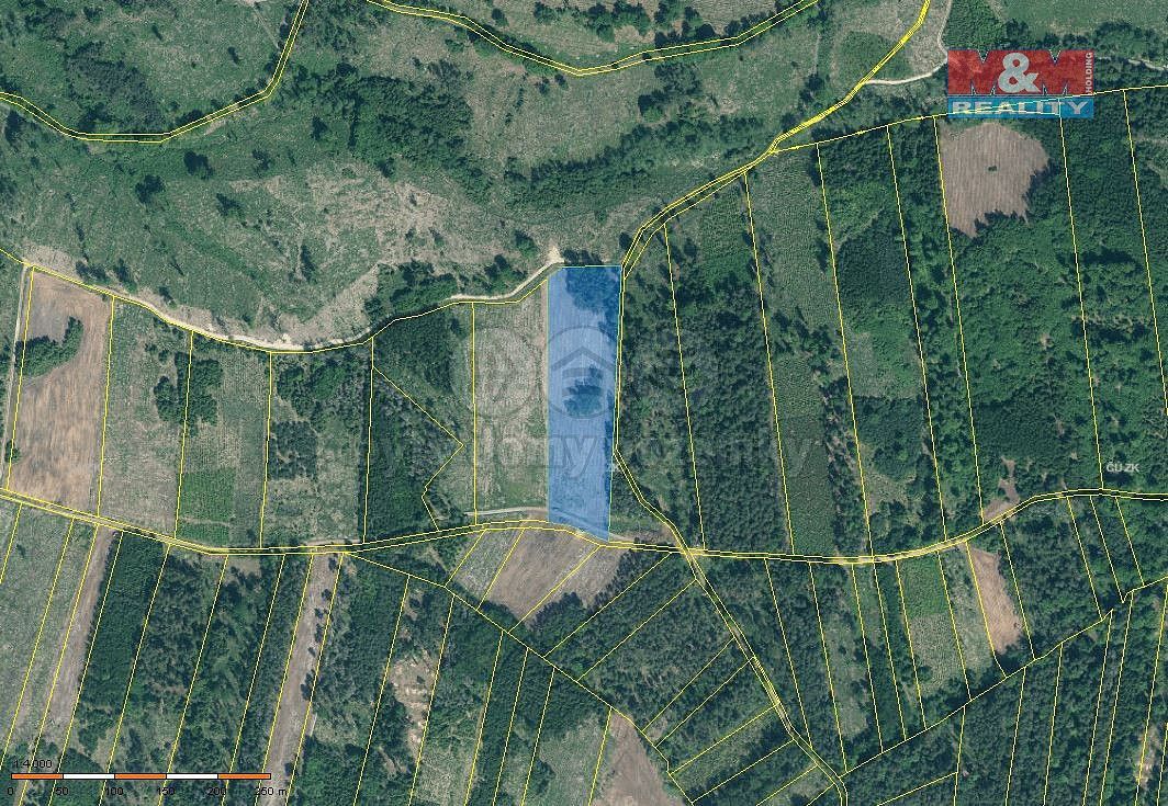 Lesy, Jetětice, okres Písek, Jihočeský kraj - 1