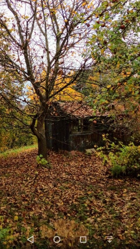 Rodinné domy, Hranice, 753 01