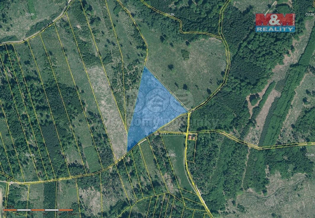 Lesy, Jetětice, okres Písek, Jihočeský kraj - 1