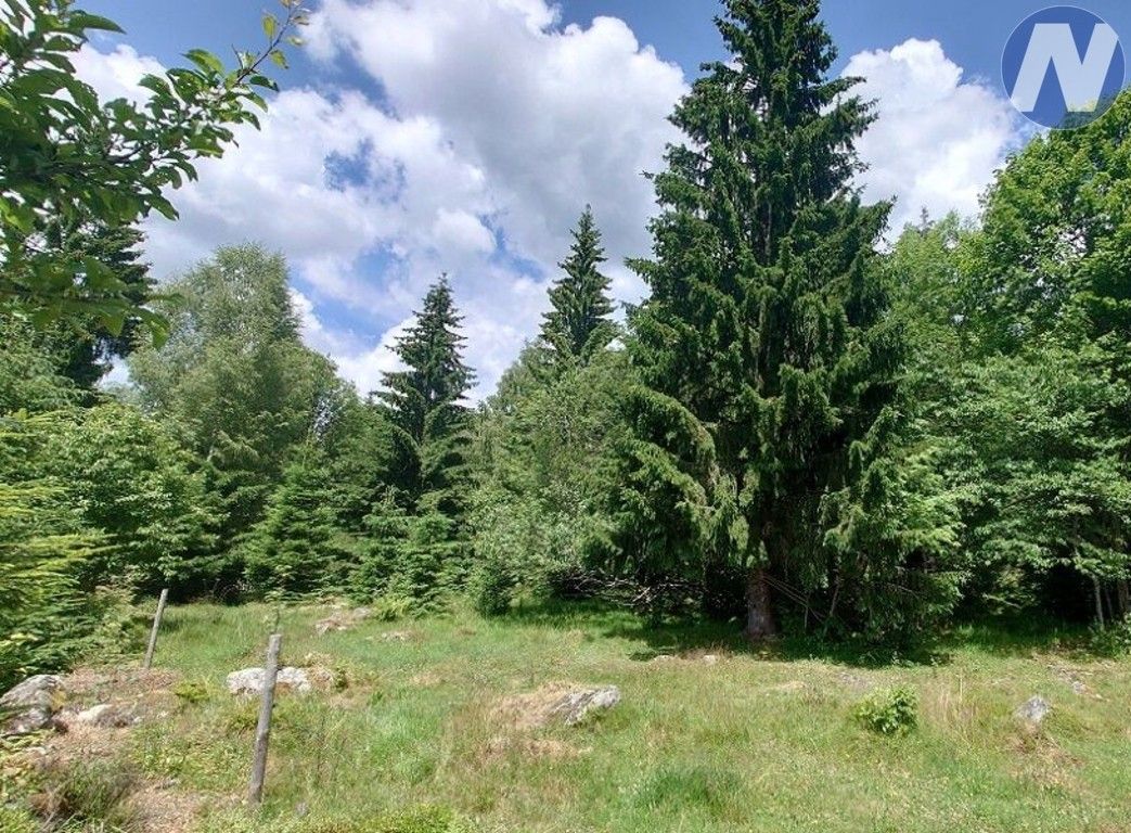Ostatní, Stožec, 607 m²