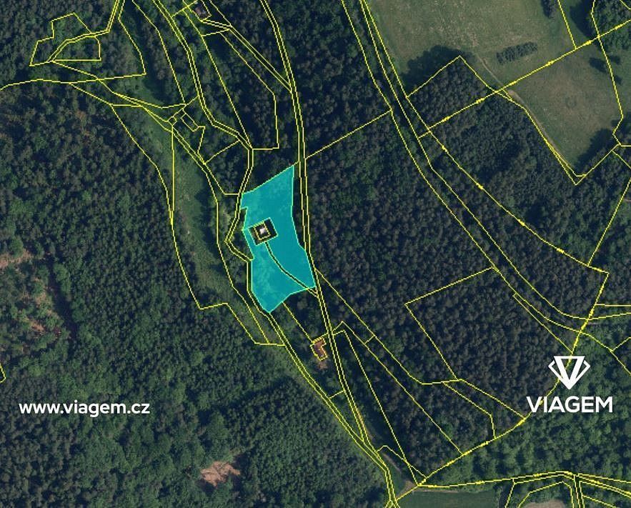 Les · Všelibice, okres Liberec, Liberecký kraj - 3