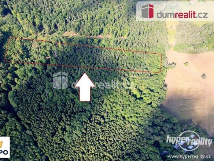Prodej les - Křemže, Chlum, 11 426 m²