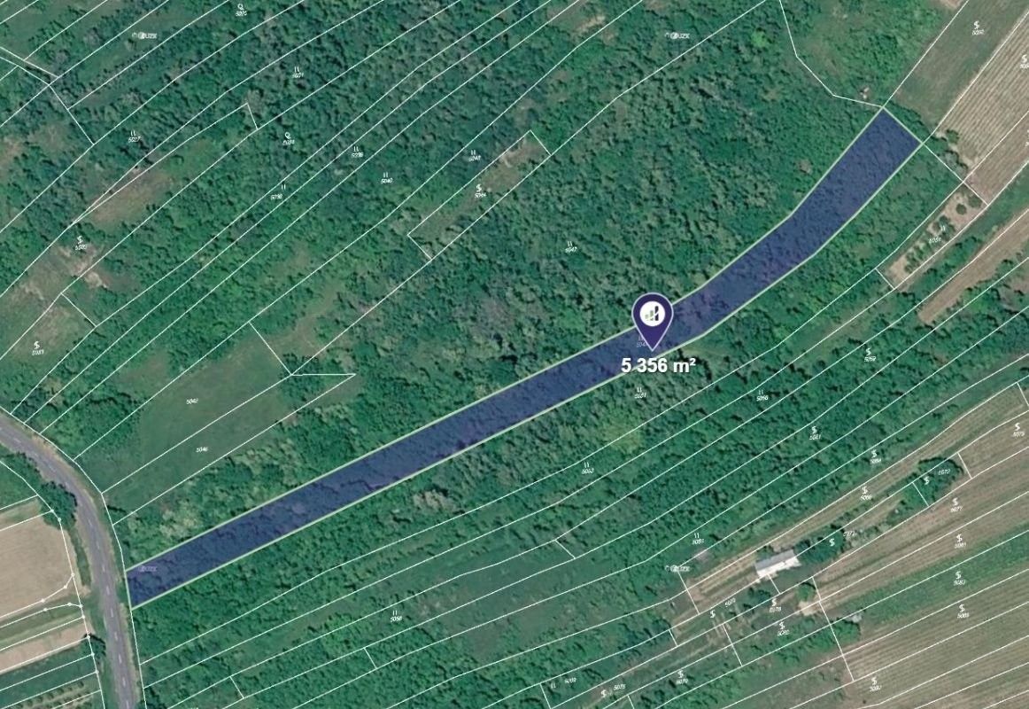 Louky, Němčičky - 1