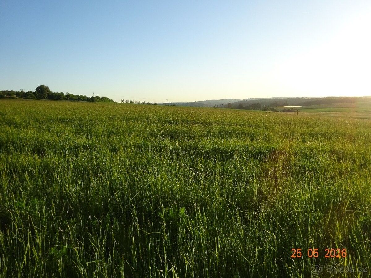 Pozemky pro bydlení, Žďár nad Sázavou, 591 01 - 1