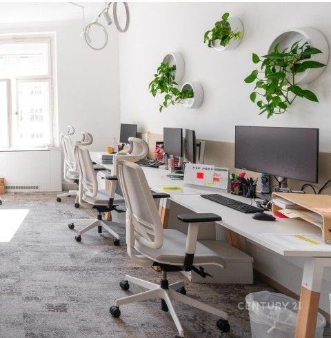 Obchodní prostory, Na Poříčí , Praha Nové Město, 503 m² - 2