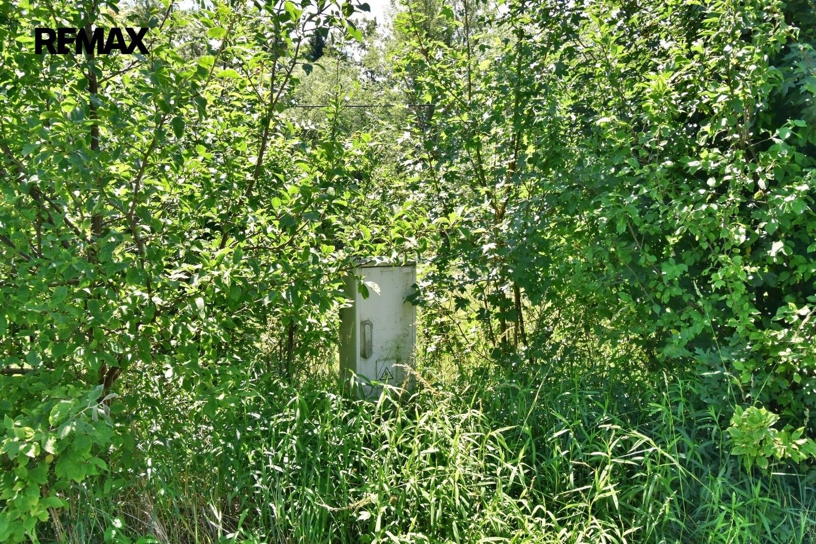 Louka · 1 214 m² · České Meziříčí - 4