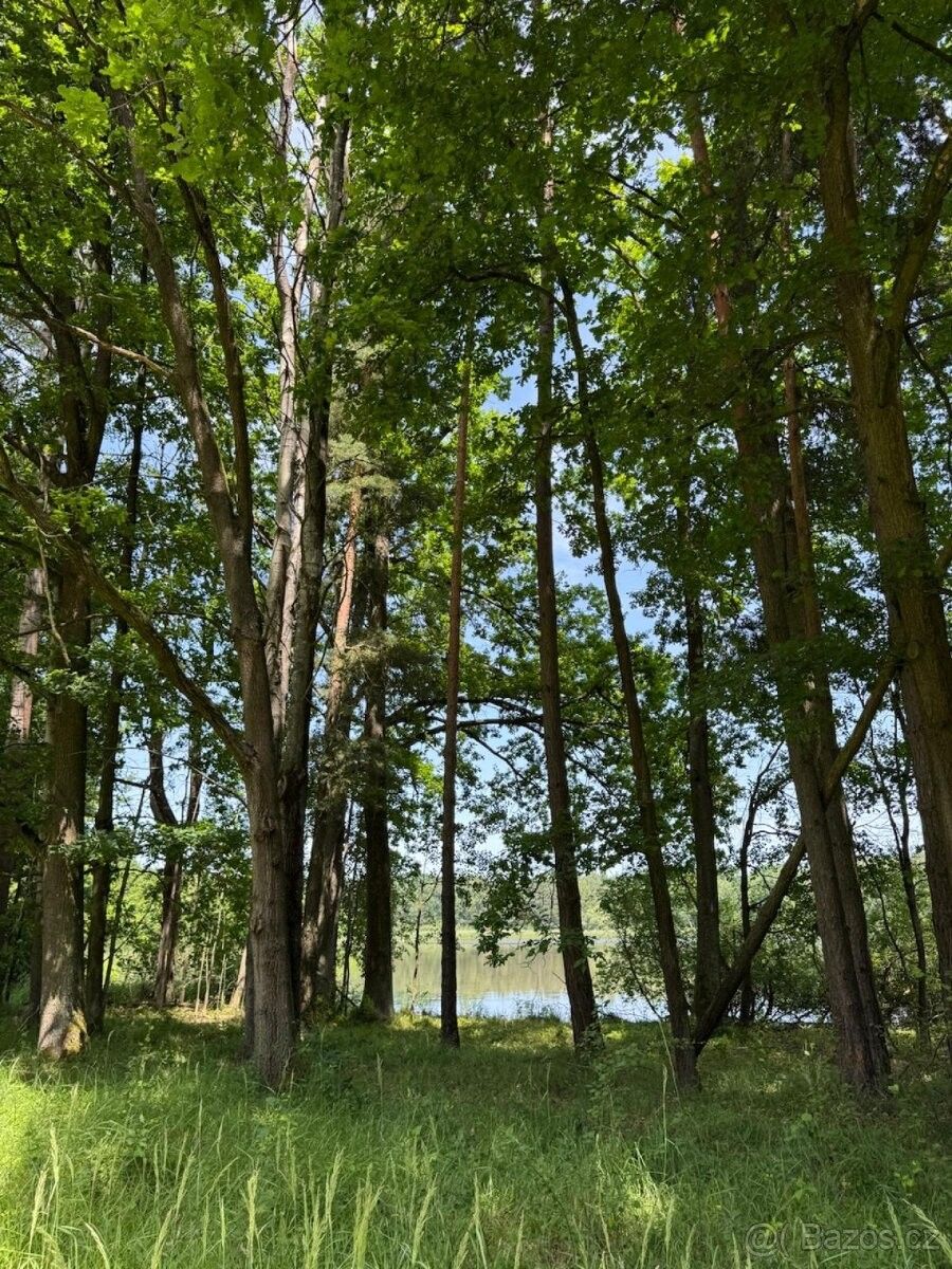 Pozemky pro bydlení, Třeboň, 379 01