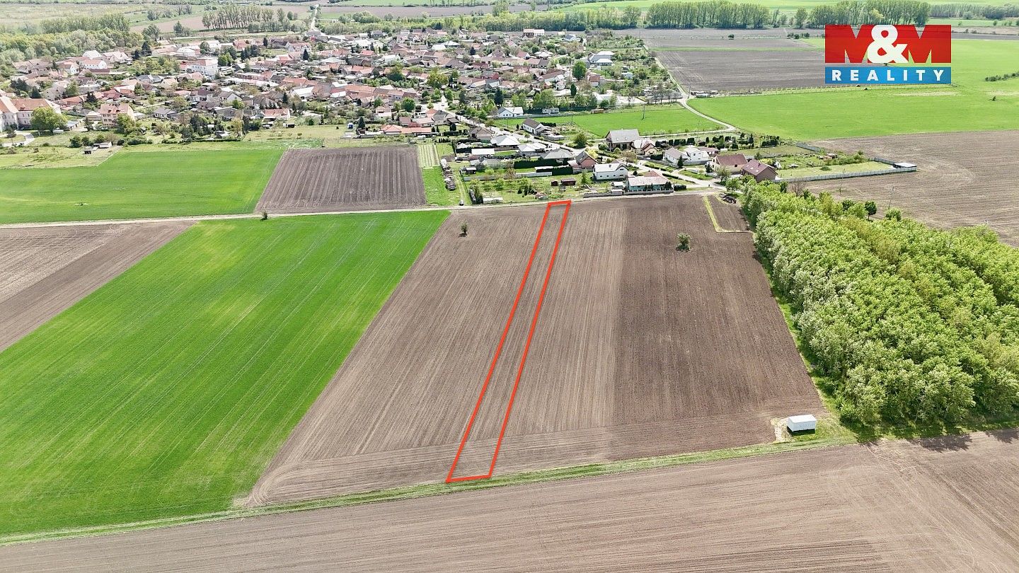 Zemědělské pozemky, Jevišovka, okres Břeclav, Jihomoravský kraj - 2