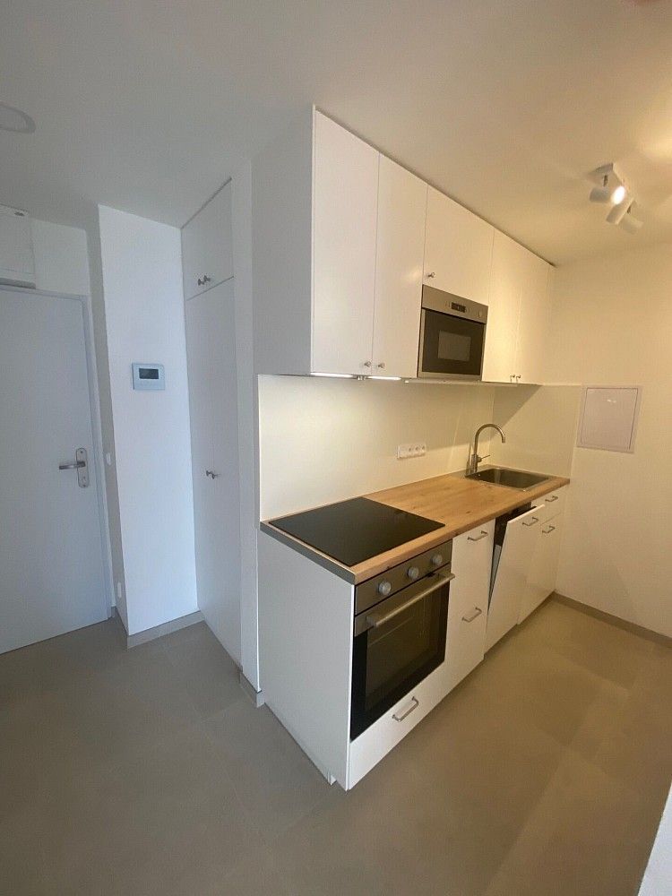 2+kk, Malešická, Praha 3 - Žižkov, 45 m² - 1