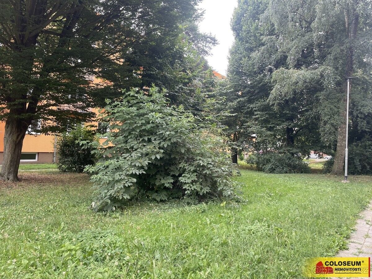 Zahrady, Olomouc, 779 00