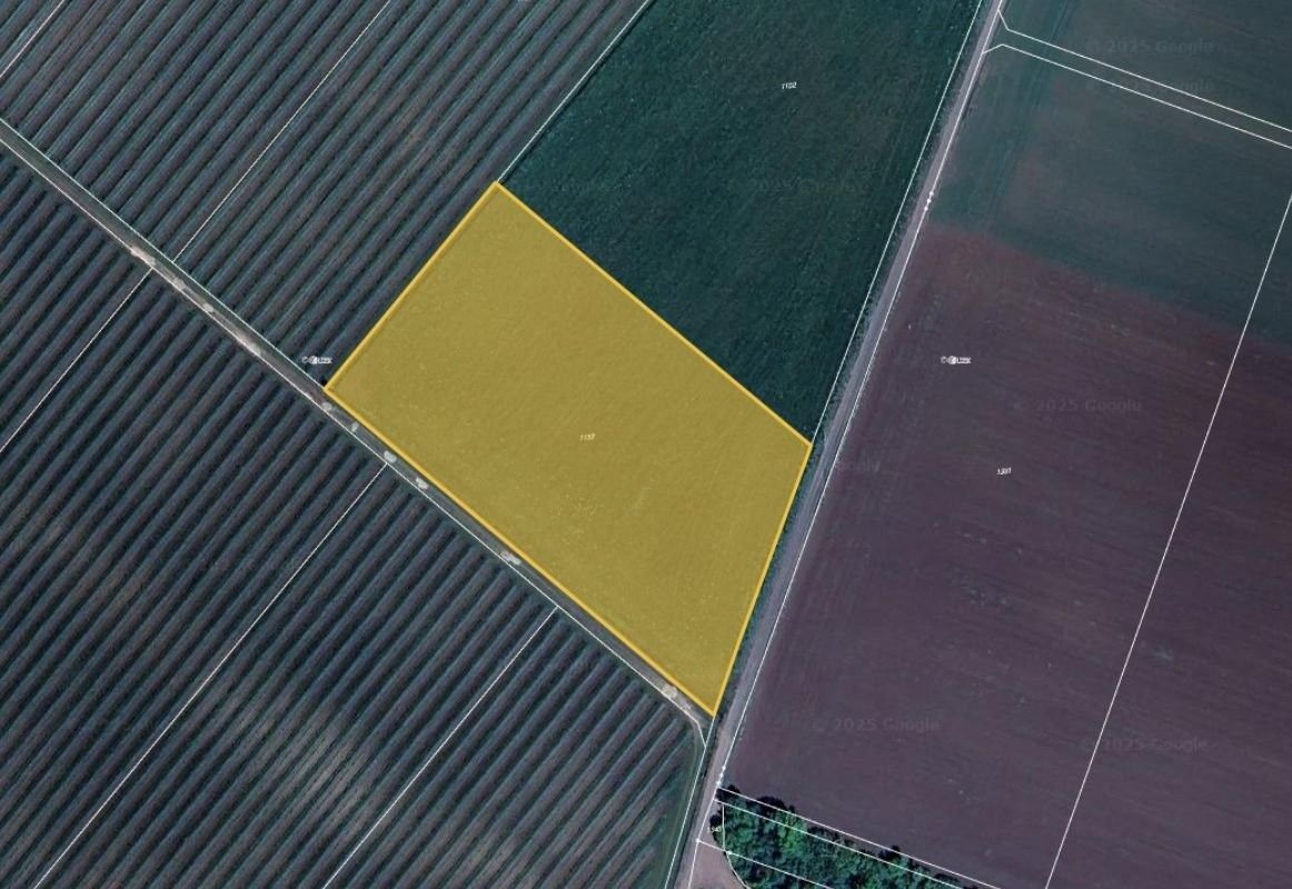 Pronájem zemědělský pozemek - Borotice, 3 547 m²