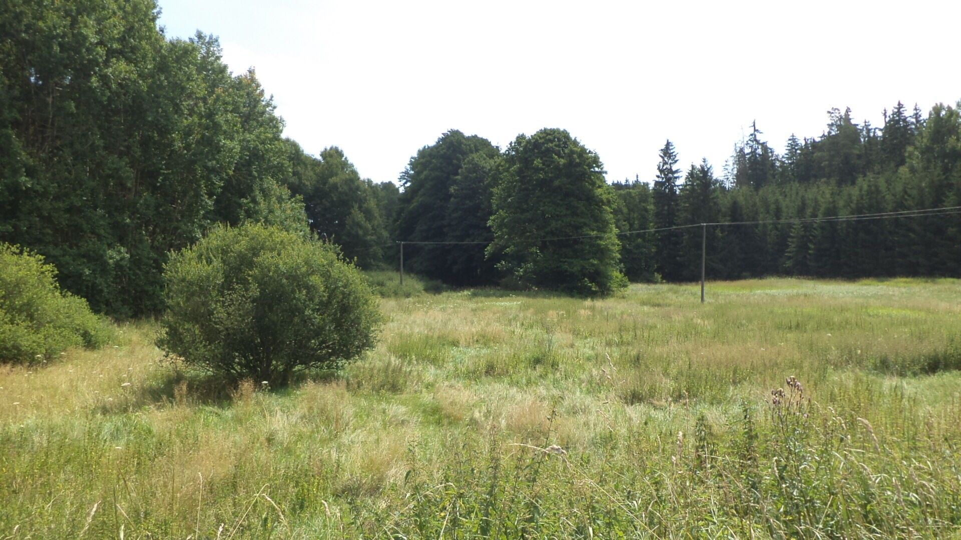Zemědělský pozemek, 13 137 m²